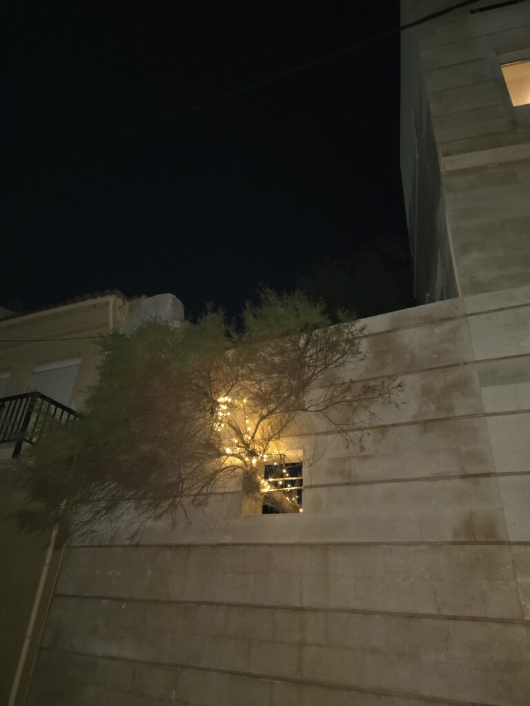 window for a tree in crete, greece